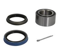 Cuscinetto ruota Sx H11010BTA BTA per NISSAN BLUEBIRD PRIMERA Traveller