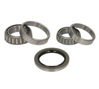 Set di cuscinetti ruota BTA H12014BTA