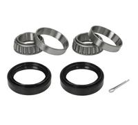 Set di cuscinetti ruota BTA H15004BTA