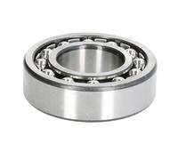 Cuscinetto sferico a rulli ZVL 1205-C3