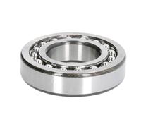 Cuscinetto sferico a rulli ZVL 1207-C3