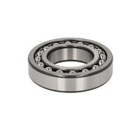 Cuscinetto sferico a rulli ZVL 1209