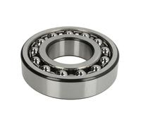 Cuscinetto sferico a rulli ZVL 1310