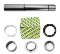 Cuscinetto SNR + Asse Braccio Treno Posteriore per Asse 205 306 309 XSARA ZX