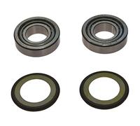Cuscinetto Sterzo Per Fe 350 E Enduro anno 1995-1996 di All Balls Racing