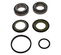 Cuscinetto Sterzo Per Fx 450 ad Es. Cross anno 2011 di All Balls Racing