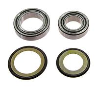 Cuscinetto Sterzo Per Maslen 300 Forza anno 2013-2017 di All Balls Racing