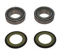 Cuscinetto Sterzo Per Monster 750 Metallizzato anno 2000-2001 di All Balls Racing