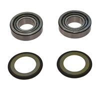 Cuscinetto Sterzo Per Rx 125 anno 2008-2013 di All Balls Racing