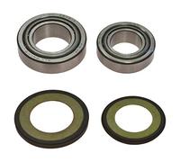 Cuscinetto Sterzo Per XTZ 660 H Tenere anno 1991-1998 di All Balls Racing