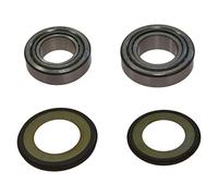 Cuscinetto Sterzo Per ZZR 600 D anno 1991-1992 di All Balls Racing