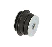 Cuscinetto, supporto assale IMPERGOM 27258