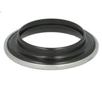 Cuscinetto volvente, per supporto montante sospensione MONROE per DS5 2 2011-
