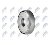 Cuscinetto a rulli ammortizzatore Assale anteriore Sx AD-PL-011 NTY per OPEL