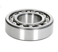 Cuscinetto ZVL 1205 C3