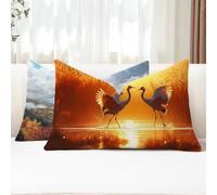 Cuscini da Esterno Arancia Federe Cuscini Divano Rettangolari 25x50 2 Pezzi Copricuscini Divano Cielo Fodera Cuscino Impermeabili Lino Copricuscini per Arredo da Giardino Balcone Decorativi G1-806