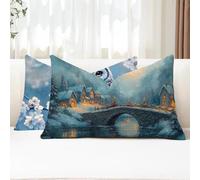 Cuscini da Esterno Astratto Federe Cuscini Divano Rettangolari 25x50 2 Pezzi Copricuscini Divano Inverno Fodera Cuscino Impermeabili Lino Copricuscini per Autunno Arredo da Giardino Balcone G1-854