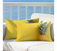 Cuscini da Esterno Impermeabili Ananas, Arancia Copricuscini Divano 50x80 Set da 2 Velluto, Federe Cuscino Letto Rettangolari Doppia Faccia Stampa Cerniera Invisibile per Giardino Casa Salotto, Cod385