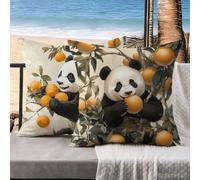 Cuscini da Esterno Panda Cuscini Divano Set da 2 frutta Federa Cuscino 40x40 Lino Copricuscini Letto Decorativi Copricuscino Impermeabile, Decorazioni Casa, Decorazioni Giardino per Esterno k-788
