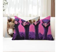 Cuscini da Esterno Viola Federe Cuscini Divano Rettangolari 25x50 2 Pezzi Copricuscini Divano Struzzo Fodera Cuscino Impermeabili Lino Copricuscini per Arredo da Giardino Balcone Decorativi G1-831