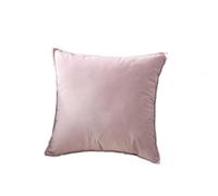 Cuscini in Lino per Divano 40x40cm, Cuscini Decorativi per Divano, Cuscino Peluche, Comodo Robusto Camera da Divano Letto, per Sala Giochi, Vacanze, Feste, Interni, Tenda, Decorazione