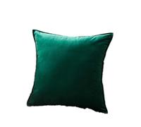 Cuscini in Lino per Divano 50x50cm, Cuscini Decorativi per Divano, Cuscino Peluche, Comodo Robusto Camera da Divano Letto, per Sala Giochi, Vacanze, Feste, Interni, Tenda, Decorazione
