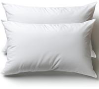 Cuscini Letto Coppia Di Guanciali 48X74 per Dormire Imbottitura Standard Antiaca