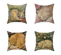 Cuscini per Divano 50X50CM Set di 4 Colore Gatto Cuscini Esterno Decorative Morbido Piazza Copricuscini con Cerniera Invisibile per Giardino Balcone Home Decorativi Regalos, Interni ed Esterni M-6AX12