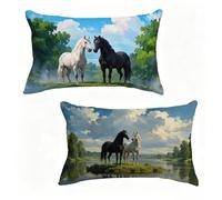 Cuscini per Divano 60x90 cm Set di 2 In Bianco E Nero Federe Cuscini Divano 60 x 90 cm Federe Cuscini Divano Cavallo Throw Pillows Lino Con Cerniera Invisibile per Decorazioni Casa, Regalo 5-F79DX1