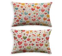 Cuscini per Divano Colore Federa Cuscino 50x70 Set di 2 Velluto Cuscini Divano Amore,2026 Nuovo Con Cerniera Invisibile Rettangolo Federa Cuscino per Decorazione Camera da Letto Soggiorno O-477LQ