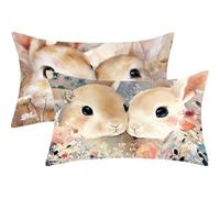 Cuscini per Divano Esterno Giardino Blu uovo d'anatra Cuscino 50x70 Set di 2 Oceano Cuscini Decorativi Moderno Rettangolo Velluto Copricuscini per Giardino Decorazioni Autunnali,Regalo Donna,J533