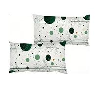 Cuscini per Divano, Federe Cuscinio 30 x 50 cm 2 Pezzi, Oblong Cuscini da Esterno Velluto, Progettazione Moderna, Quattro Stagioni Universali, Cuscino Divano Confortevole Il sogno colorato S0-680