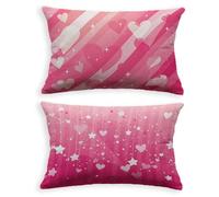 Cuscini per Divano Rosa Federa Cuscino 50x70 Set di 2 Velluto Cuscini Divano Amore,2026 Nuovo Con Cerniera Invisibile Rettangolo Federa Cuscino per Decorazione Divano Camera da Letto Soggiorno O-321LQ