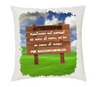 cuscino 40 x 40 cm con scritta pensionato nei paraggi pensione idea regalo