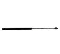 Cuscino ammortizzatore GH-391054 GH GH