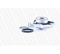 2 x Boccola cilindro MONROE per CITROËN, FIAT, PEUGEOT BOXER, DUCATO