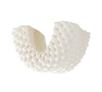 Cuscino da notte in lattice 35x55cm con supporto cervicale modello Wolf Tooth