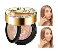 Cuscino d'aria correttore | Cuscino illuminante per la pelle del viso, leggero, accessorio per il trucco per appuntamenti, viaggi, casa, lavoro, shopping, incontri Maidong