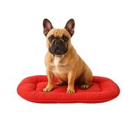 Cuscino Firenze Sottile Ovale Rosso 55x39x3cm