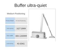 Cuscino for chiudiporta automatico, chiudiporta automatico for uso domestico, velocità regolabile, posizionamento, fermaporta, telaio di protezione for porta,per una forza di chiusura più forte(Silve