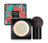 Cuscino per fondotinta - Moisturizing Foundation Powder 20 ml di lunga durata - Fondotinta pieno potere coprente, correttore crema per la maggior parte dei tipi di pelle, cuscino per