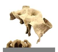 Cuscino per piercing all'orecchio - Supporto cervicale ergonomico | Cuscino con foro per chi dorme sul fianco | Per adulti Anziani Viaggio a casa Aereo, aiuti umanitari | Cuscinos antipressione