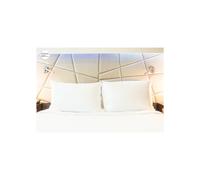 Cuscino quadrato in cotone - JAVIER LARRAINZAR - 50x50 cm - Multicolore - 100% cotone - Lavaggio a mano - Finitura premium