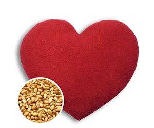 CUSCINO RISCALDABILE Leschi per la pancia, la schiena e la zona lombare/Per coliche dei neonati e il ciclo/Per microonde, con semi di grano/Cuscino termico per bambini/Cuore grande, rosso