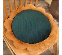 Cuscino riscaldante rotondo per sedile a forma di cartone animato, ricarica USB, isolamento antiscivolo e termico per riscaldamento a casa e ufficio (colore: verde, dimensioni: 40 x 40 cm)