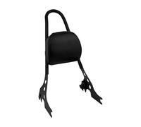 Cuscino Schienale Supporto per lo Cuscino per schienale Sissy Bar per passeggero posteriore staccabile per moto, adatto per Harley Sportster XL 883 1200