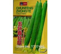 Cushy Semi: 1 Confezione da Cinque Foglie, Luffa, luffa Non geneticamente modificati, Giardino di casa