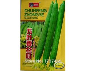 Cushy Semi: 1 Confezione da Cinque Foglie, Luffa, luffa Non geneticamente modificati, Giardino di casa