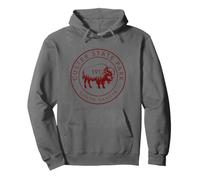 Custer State Park, South Dakota, Bison Vintage Pride Felpa con Cappuccio