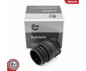 Custodia connettore centralina cambio 96SKV414 ESEN SKV per ALPINA BMW